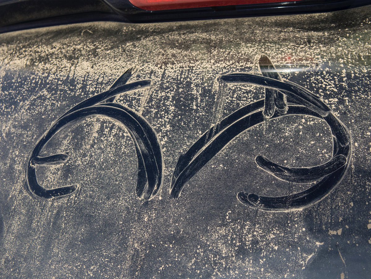 Dyner69er's tweet image. #RealtreeLife
im impressed