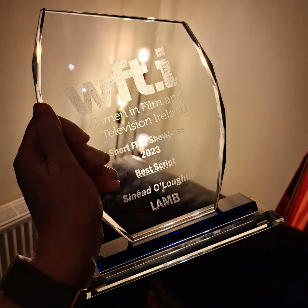 Thank you @WFTIreland for the Best Script Award for @LambShortFilm at their annual Short Film Showcase @IFI_Dub. Great programme of shorts, we are delighted with the win! 🏆🎬🐑💜 #ForYourCobsideration #FYC #Oscars2024 #AcademyAwards #IrishFilm #AoifeDuffin #EannaHardwicke