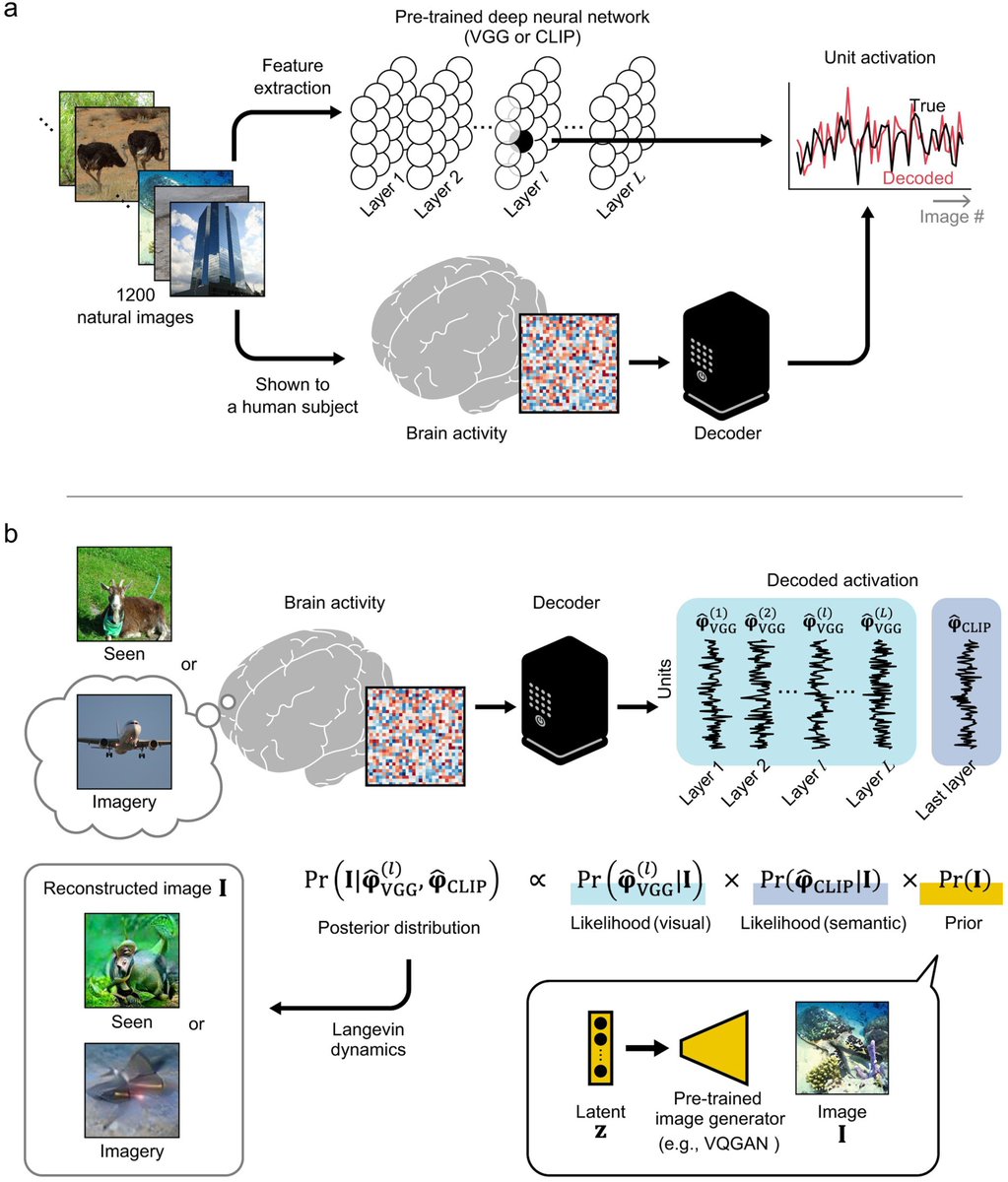 ai_katana's tweet photo. In a first, AI was able to reconstruct images from brain activity with over 75% accuracy.

Japanese researchers have achieved a significant breakthrough in AI-generated imaging, reaching a record 75% accuracy in reconstructing images from brain activity. 

This advancement marks a considerable improvement over previous methods which only achieved 50.4% accuracy. The process involves recording brain activity while subjects view images and later recalling these images. 

Utilizing a neural signal translator and generative AI, researchers were able to reconstruct these images with high accuracy. This technology opens new possibilities in understanding the human mind and could lead to novel forms of non-verbal communication.