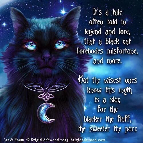 thewitchbrmclst tweet picture