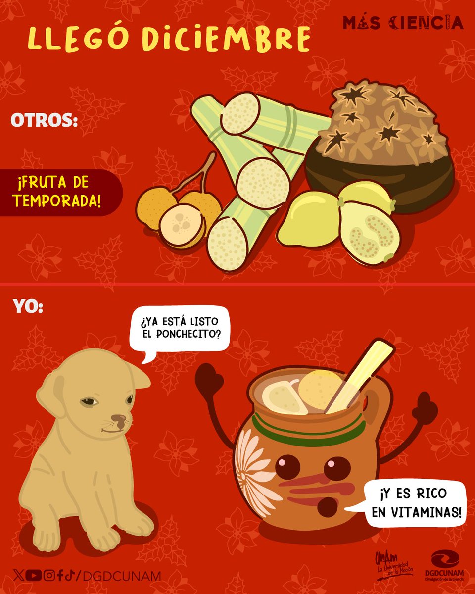 Diciembre ya está aquí, y el ponchecito lo sabe.😋

#MásCiencia