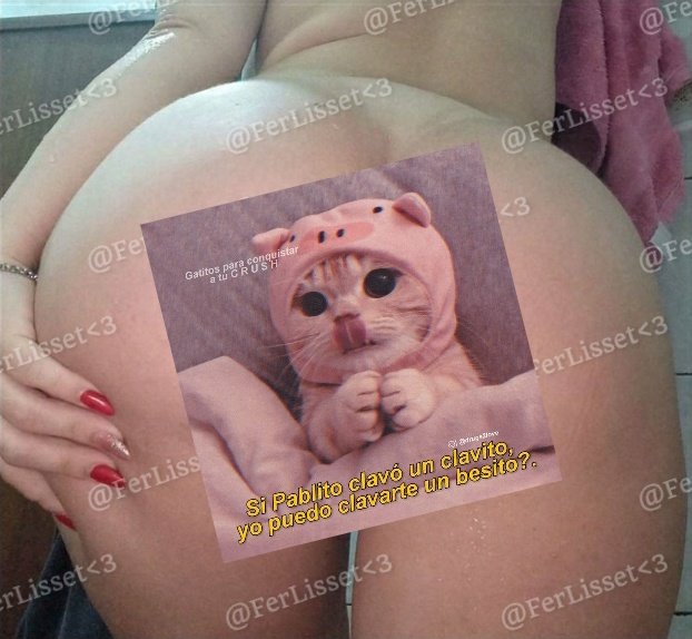 Potoncitauwu's tweet photo. ✅ NEW SET ✅

Con el calor que hace, necesitaba esta ducha, solo faltabas tú 💋❤️
Pero estoy dispuesta a que me calientes nuevamente 🥵🔥

¿Que esperas para verme todita? 😈🙈

Set de 3 fotitos x 10USD 💶

Únete a mi grupo de telegram para más contenido: https://t.co/NCPbbdeofz https://t.co/SZfuLTMR7b