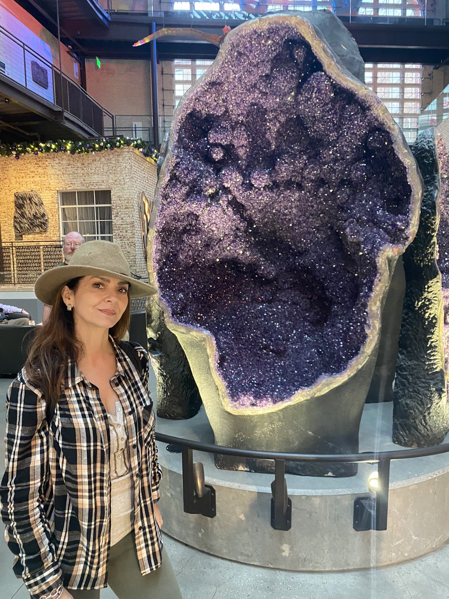 AileenVega123's tweet photo. Even on a short weekend getaway, I can’t seem to get away from all things that have to do with SCIENCE.
Natures gifts are fascinating.
#giantgems
#giantgeode museum
#science environmental conservatory #tybeeisland #epiphytes #150yearoldoak #oceantreasures https://t.co/7376CDWgCJ