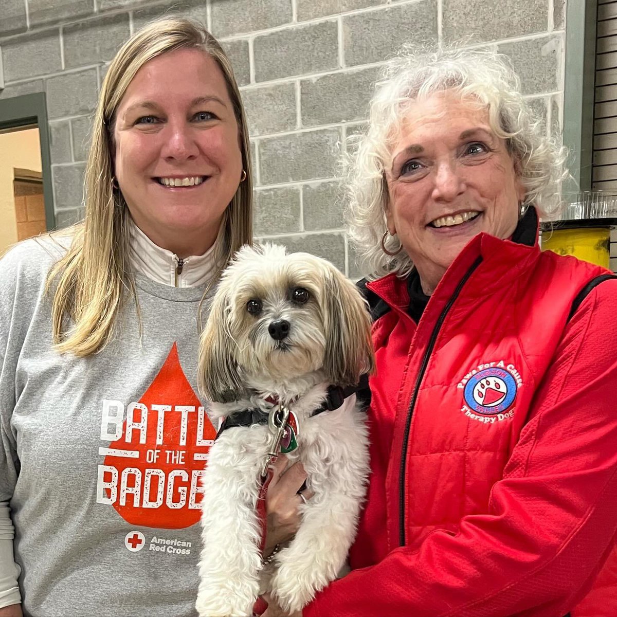 HVPaws4Cause's tweet photo. Thank you to our therapy dogs Raine, Rosa and Lulu who helped to lower blood pressures and bring smiles to everyone at the Battle of The Badges Blood Drive yesterday🩸🐶⛑️ #americanredcross #redcrossblood #redcrossny #therapydogs #pettherapy #blooddrive #redcrossvolunteer https://t.co/UFAW1vmbTL