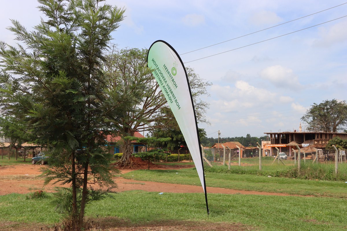 HortiFresh (@hortifreshffv) on Twitter photo "Working together to increase food safety, reduce interceptions and open regional and international export markets for Uganda's Fresh Fruits and Vegetables"
Weekly Wrap up
1. Masaka
2. Mubende
3. Luwero
4
<a href="/FrankTumwebazek/">Frank K Tumwebaze,MP: Isaiah 41: 11</a> <a href="/giz_uganda/">GIZ Uganda</a> <a href="/eacgiz/">GIZ support to the East African Community</a>
<a href="/africaagricnet/">Africa Agricultural Network</a>
#BoostingFFFVExports "Working together to increase food safety, reduce interceptions and open regional and international export markets for Uganda's Fresh Fruits and Vegetables"
Weekly Wrap up
1. Masaka
2. Mubende
3. Luwero
4
<a href="/FrankTumwebazek/">Frank K Tumwebaze,MP: Isaiah 41: 11</a> <a href="/giz_uganda/">GIZ Uganda</a> <a href="/eacgiz/">GIZ support to the East African Community</a>
<a href="/africaagricnet/">Africa Agricultural Network</a>
#BoostingFFFVExports