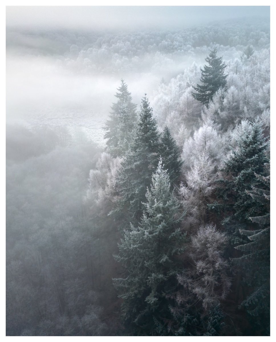 Jay_B_Photos's tweet photo. ‘ALPINE CHASE’
No - it’s not Scandinavia, but Staffordshire, Midlands! A wintery shot from Cannock Chase on Saturday morning. #WexMondays #FSprintmonday #sharemondays2023 #Staffordshire https://t.co/W4J5qW1Dip
