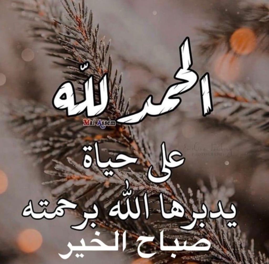 HAMOUDALSHAMERI's tweet photo. https://t.co/QgOynuUzfK