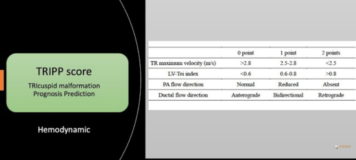 Prognosis of Ebstein GOSE vs TRIPP

Watch this video to know more: youtube.com/watch?v=KlOtMe…

#Ebstein #Fetal #prenatal #echo #TRIPP #GOSE #TR #Tricuspidregurgitation #pulmonaryatresia