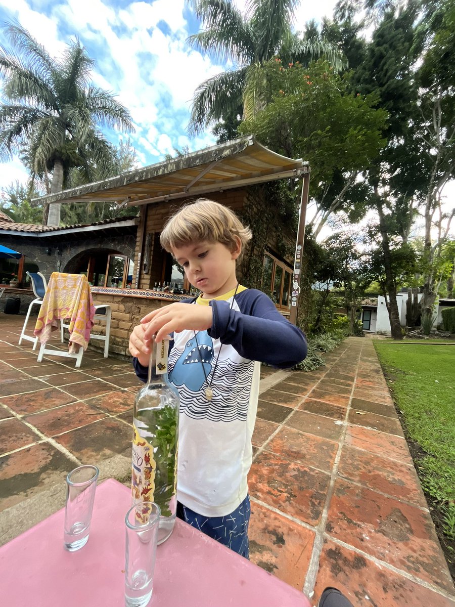 mezxal de citronela by Juani