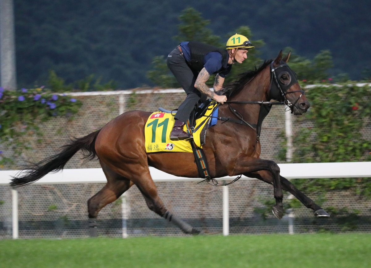 Wellington! 💫

Will trainer <a href="/JamieRichards3/">Jamie Richards</a> collect a first Hong Kong Group 1 with the former champion sprinter in the <a href="/LONGINES/">Longines Watch Co.</a> Hong Kong Sprint!? 🤔

📍 Sha Tin, 10 Dec | #HKIR | #HKracing
