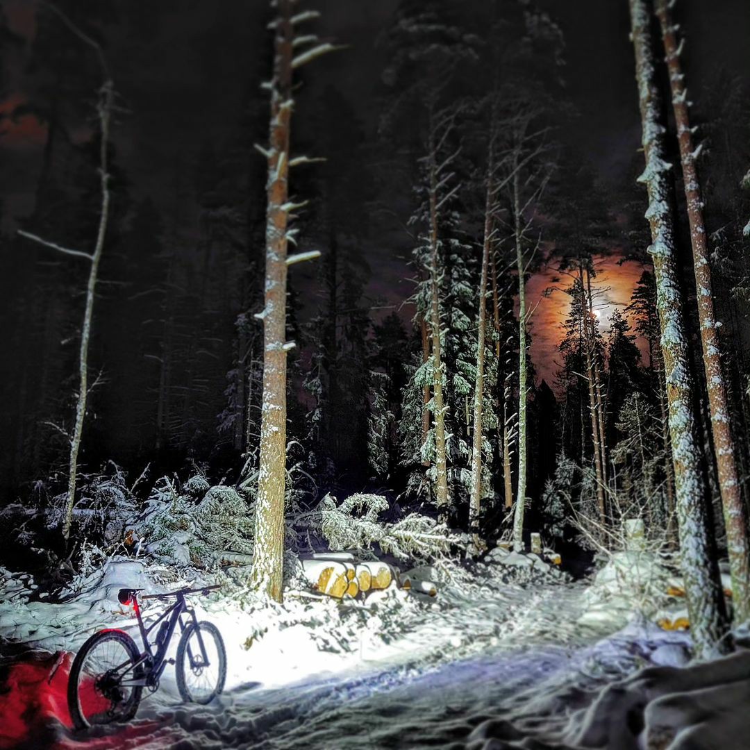 Winter Biking Scenery Collection | Check out the shared snowy scenes here! ❄⛄🚴‍♀️
🧣Remember to stay warm while enjoying your travel as the weather gets colder!🔥

From IG: @ laura.jane.mtb @ viggen_ohman @ no_club_cc 
#bikelights #winterbiking #snowscape #staywarm #outdoorfun
