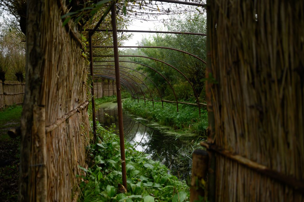 BiesboschLinie tweet media