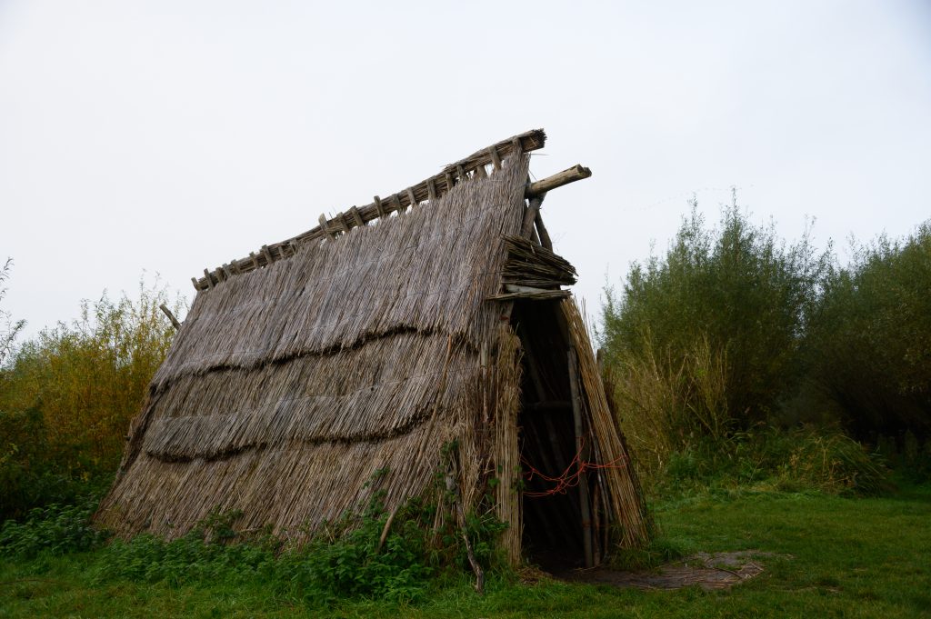 BiesboschLinie tweet media