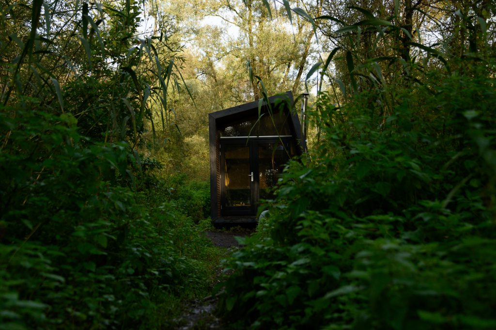 BiesboschLinie tweet media