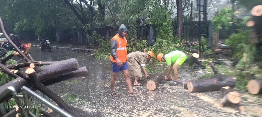 chennaipolice_'s tweet photo. #Michaung CYCLONE

Swift action by Triplicane DDRT team, clearing the fallen trees :

(i) Loyola college back side

(ii) Chintadripet South boag road, N.M colony

(iii) Nungambakkam, Valluvarkottam high road
(iv) Opposite to Annai Therasa அன்னை தெரசா திறன் மேம்பாட்டு மையம்
(v) Police hospital, Egmore

#ChennaiRain #UPDATE 
@SandeepRRathore
@R_Sudhakar_Ips
@ChennaiTraffic