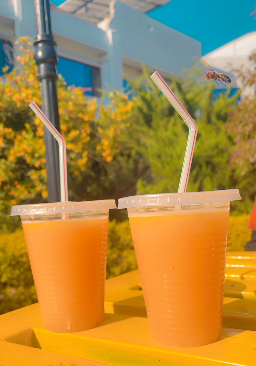 Gul_e_Janaaa's tweet photo. Check the entry of bee 🐝😂
#RefreshingDelight 🍹 https://t.co/gMOuNirQi8