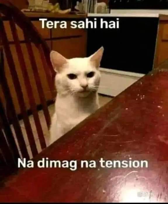 AAnamika_'s tweet photo. जब कोई किसी मैगी यूट्यूबर को क्रांतिकारी बताता है.... https://t.co/Vny7EFAe7C