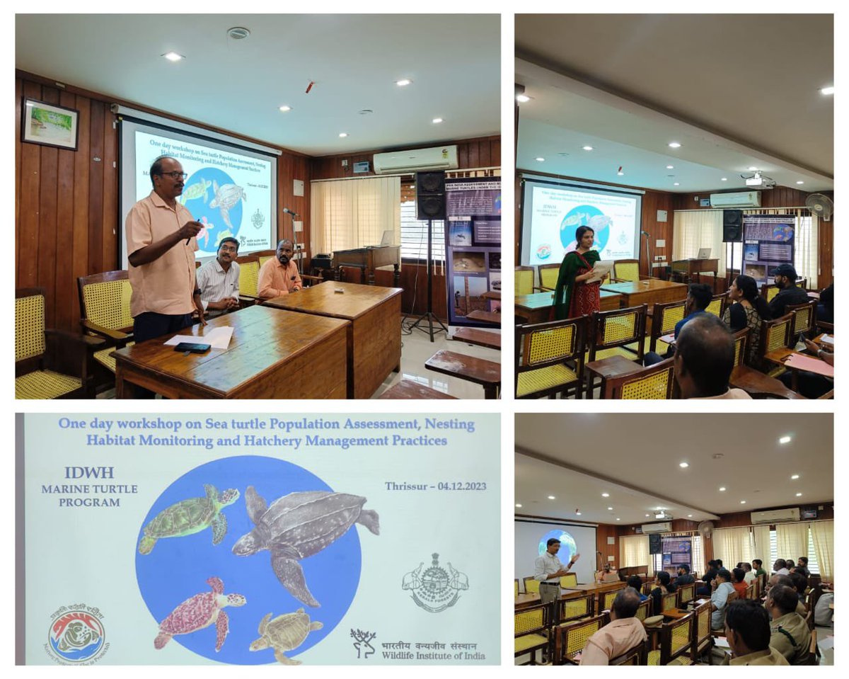 wii_india's tweet photo. The inauguration session of the state level workshop on #Marine #turtle monitoring as part of the #IDWH #MarineTurtle program at #Thrissur #Kerala focused on the major challenges of marine turtle conservation. @moefcc @ForestKerala @vrtiwari1 @sureshwii @nehrutp @ParvathiRN17 #IDWH