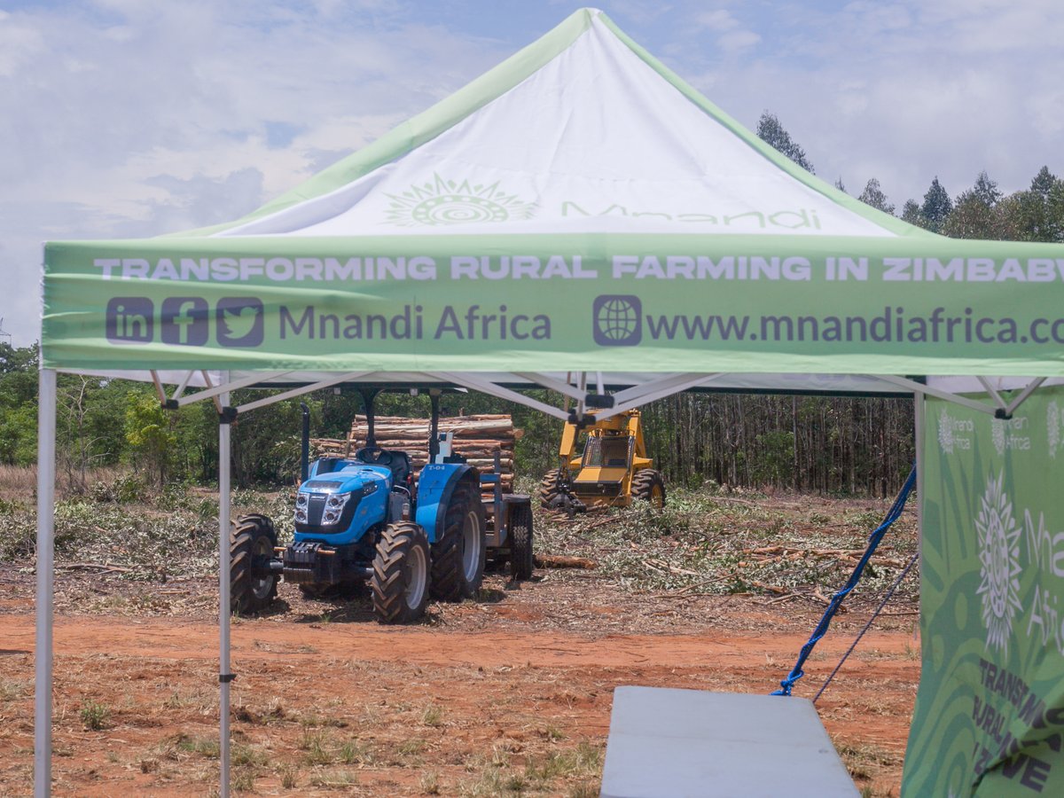mnandi_africa's tweet photo. On the eve of the #NationalTreePlanting Day #zimbabwe we had the opportunity to participate at a field day  hosted by Sustainable Afforestation Association at Chomwedzi Farm . https://t.co/71kDnYpwfn