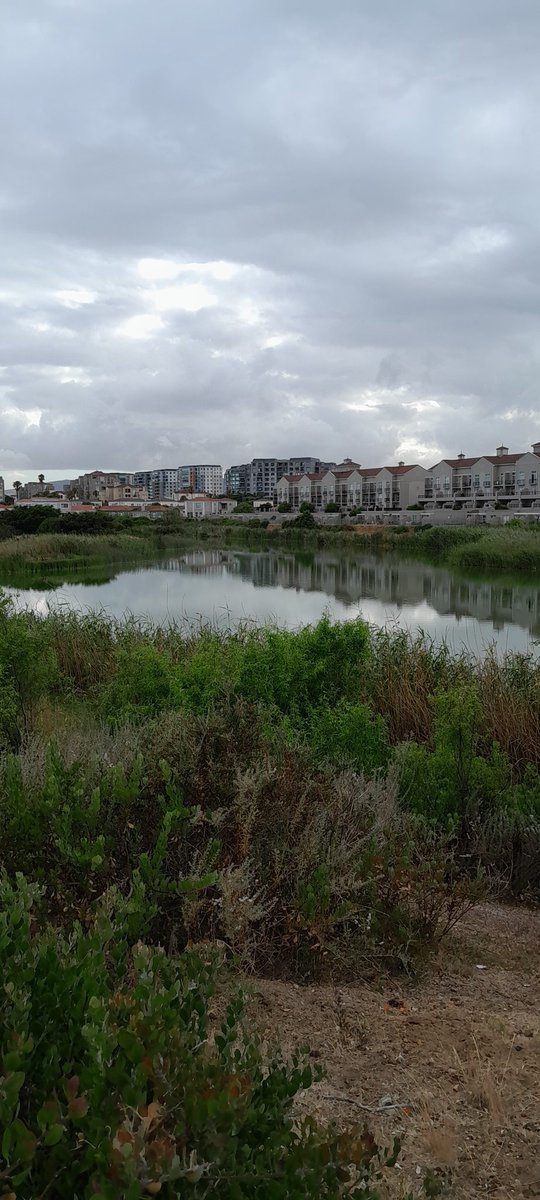 ᑕᗩᑭE TOᗯᑎ tweet media