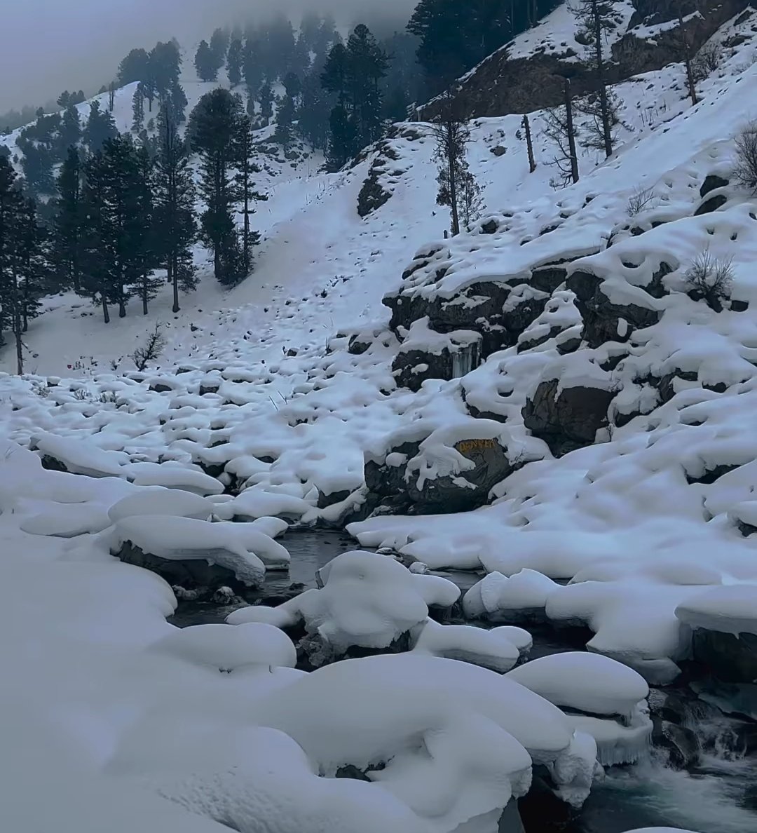 Beautiful kashmir in winters . 
#araidstraveltrips #snow #kashmir #mountains #beautybloggers #photographer #photography #pine #stream #naturephotography #awesome