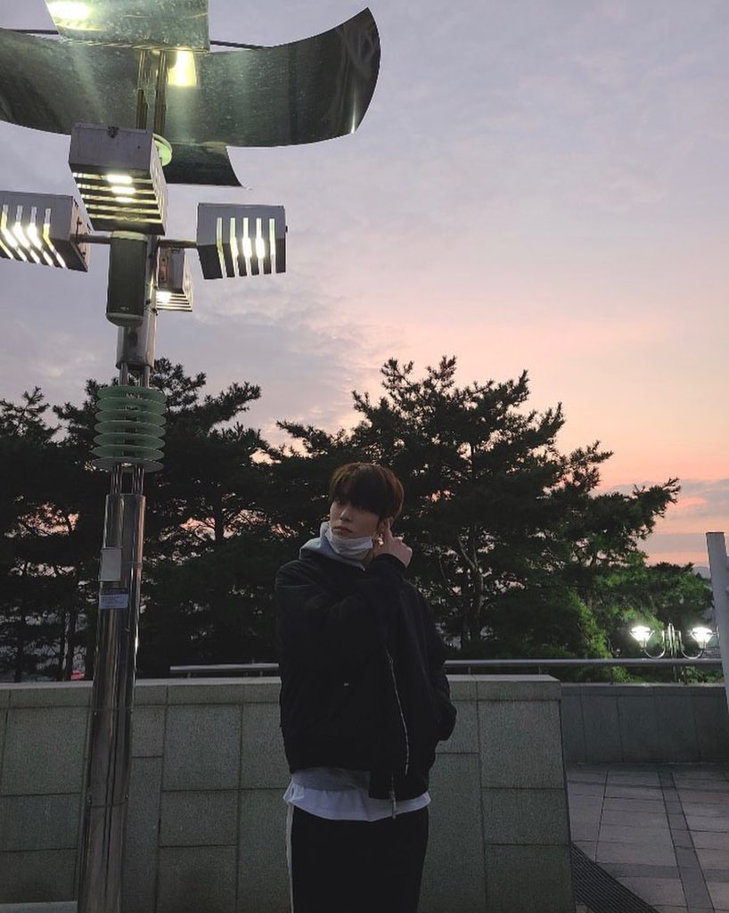 봄 tweet media