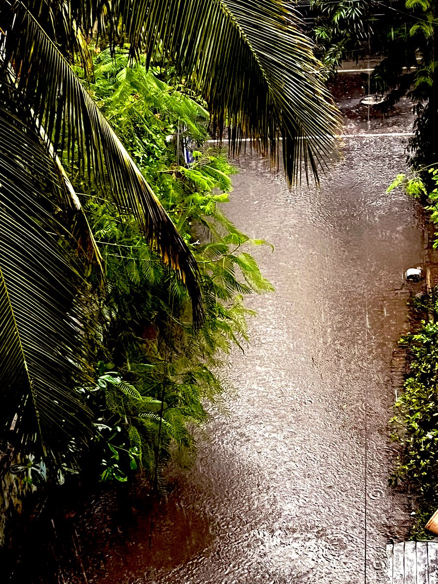 VikranthKar's tweet photo. #periyarnagar #ChennaiRain #cyclonemichaung https://t.co/lANtSYAbjX