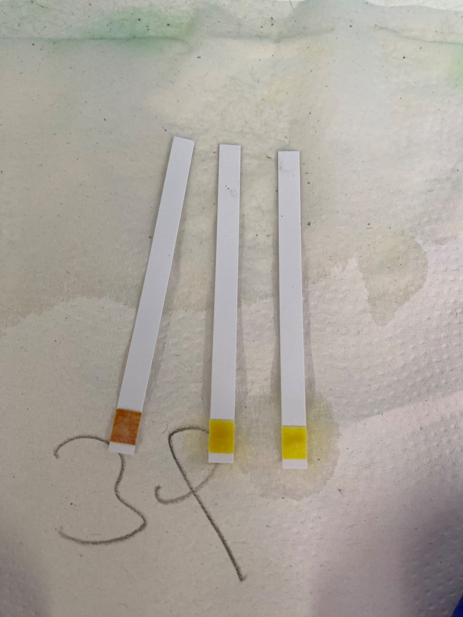 Roberto Busi tweet media