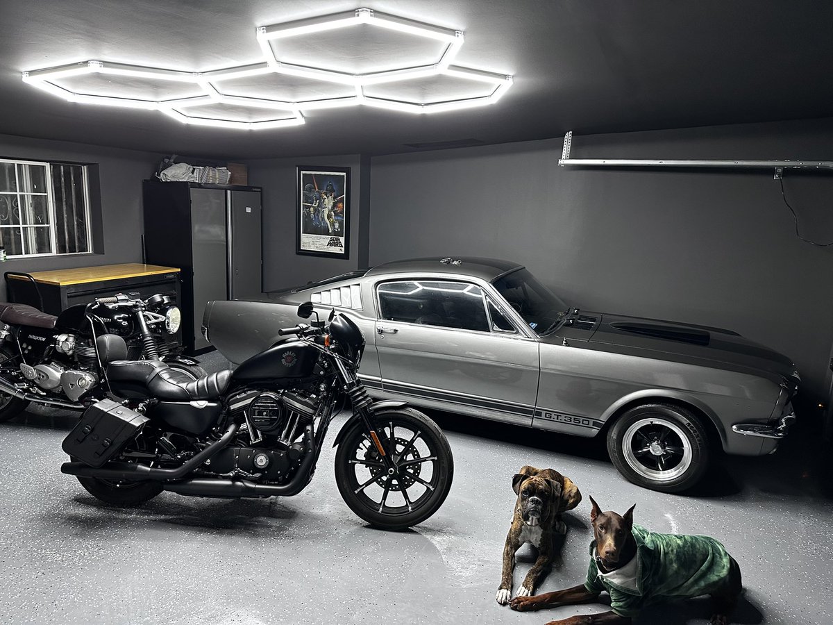 RektProof. tweet media