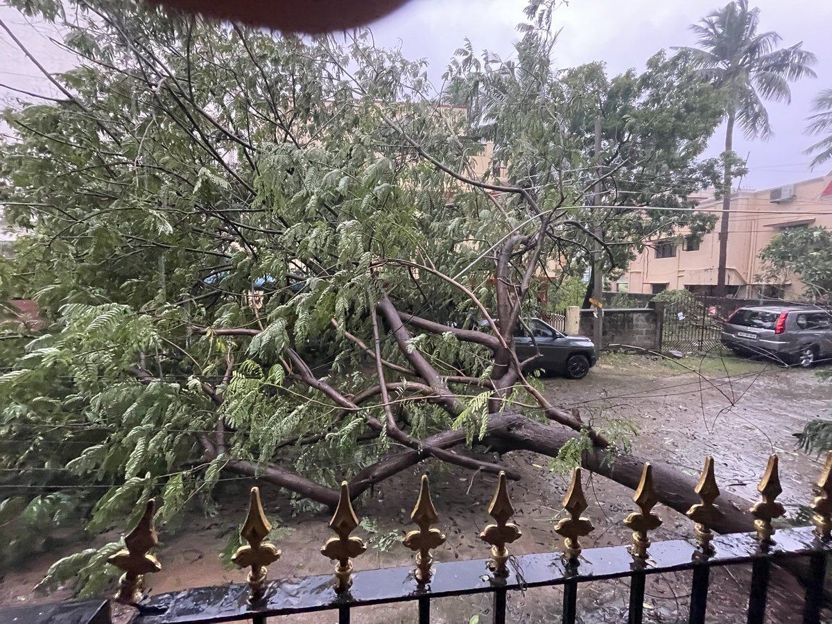 12ARUNKRISH86's tweet photo. @chennaicorp Tree fall at CRR Puram 2nd Main Road Manapakkam. Tried reaching 1913. The number is not working https://t.co/8VE9PApz5X