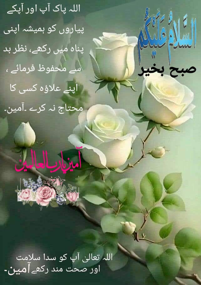 اک درویش tweet media