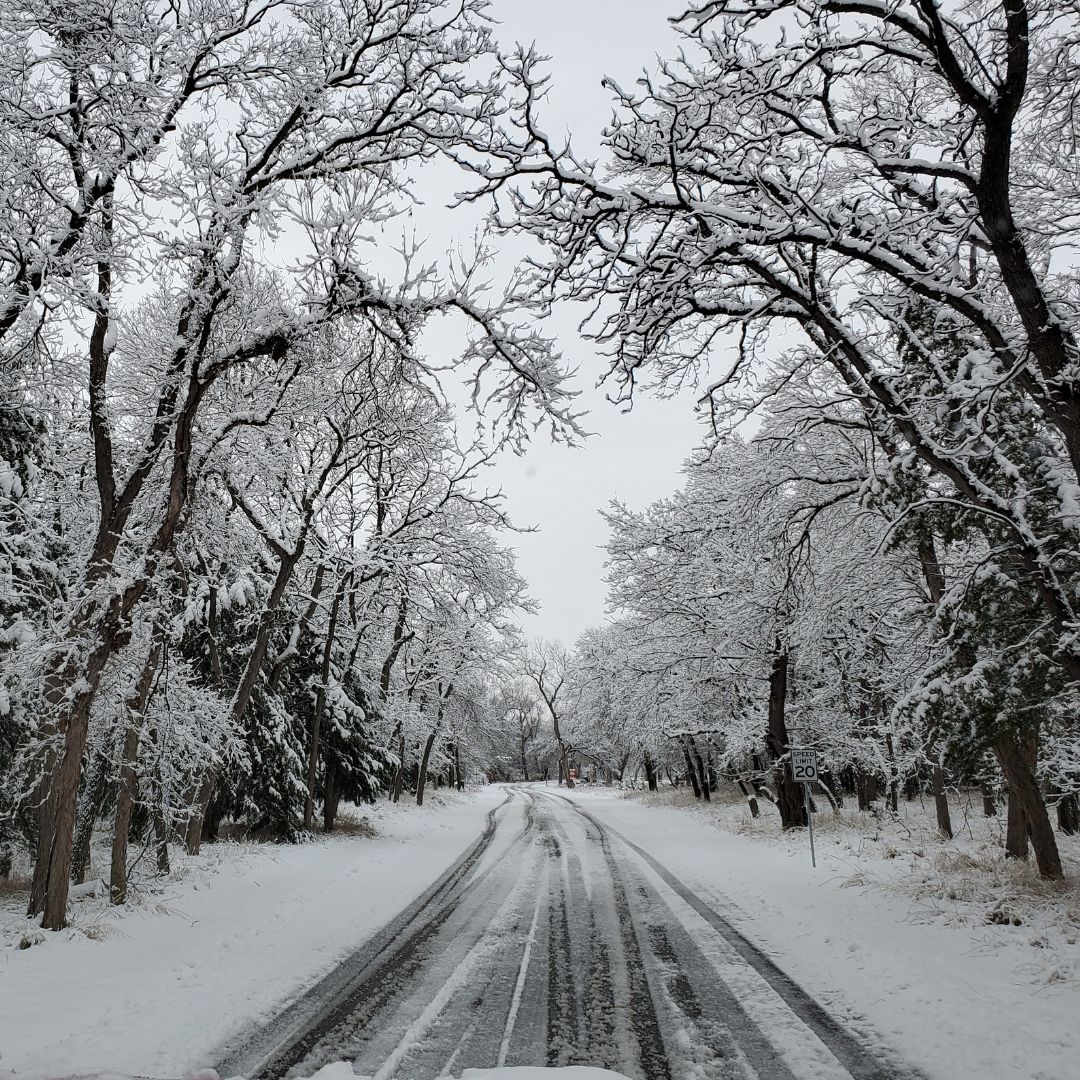 TravelOK.com tweet media