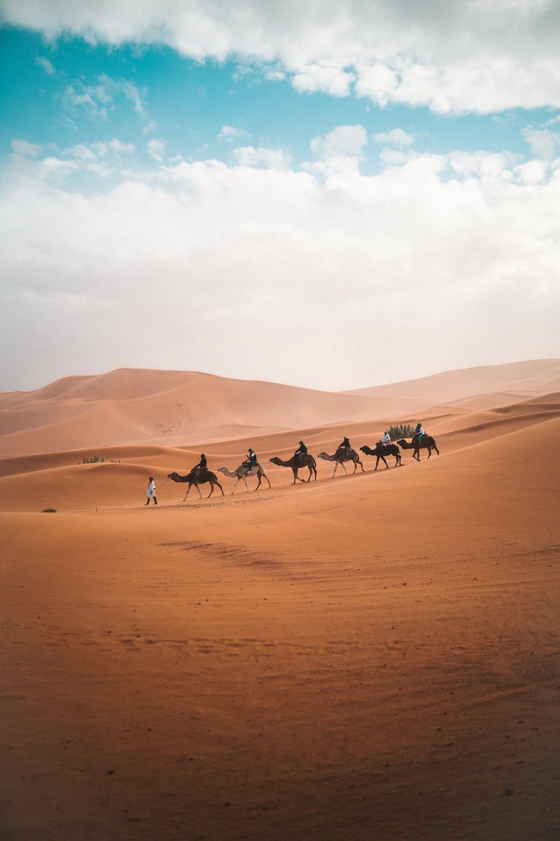 hung_fp1's tweet photo. The Sahara Desert, vast and scorching, is an arid world where golden sand spreads as far as the eye can see. This is not only a geographical area, but also a symbol of strength and perseverance. Under the harsh sunlight, the sand dunes float like ocean waves constantly moving, creating a mysterious and implicit image of immutability and change at the same time. The Sahara is not only a place marked by time but also an endless source of inspiration for the patience and extraordinary power of nature. #sahara #African #View #naturelovers #NaturePhotograhpy #Blogs #Desert