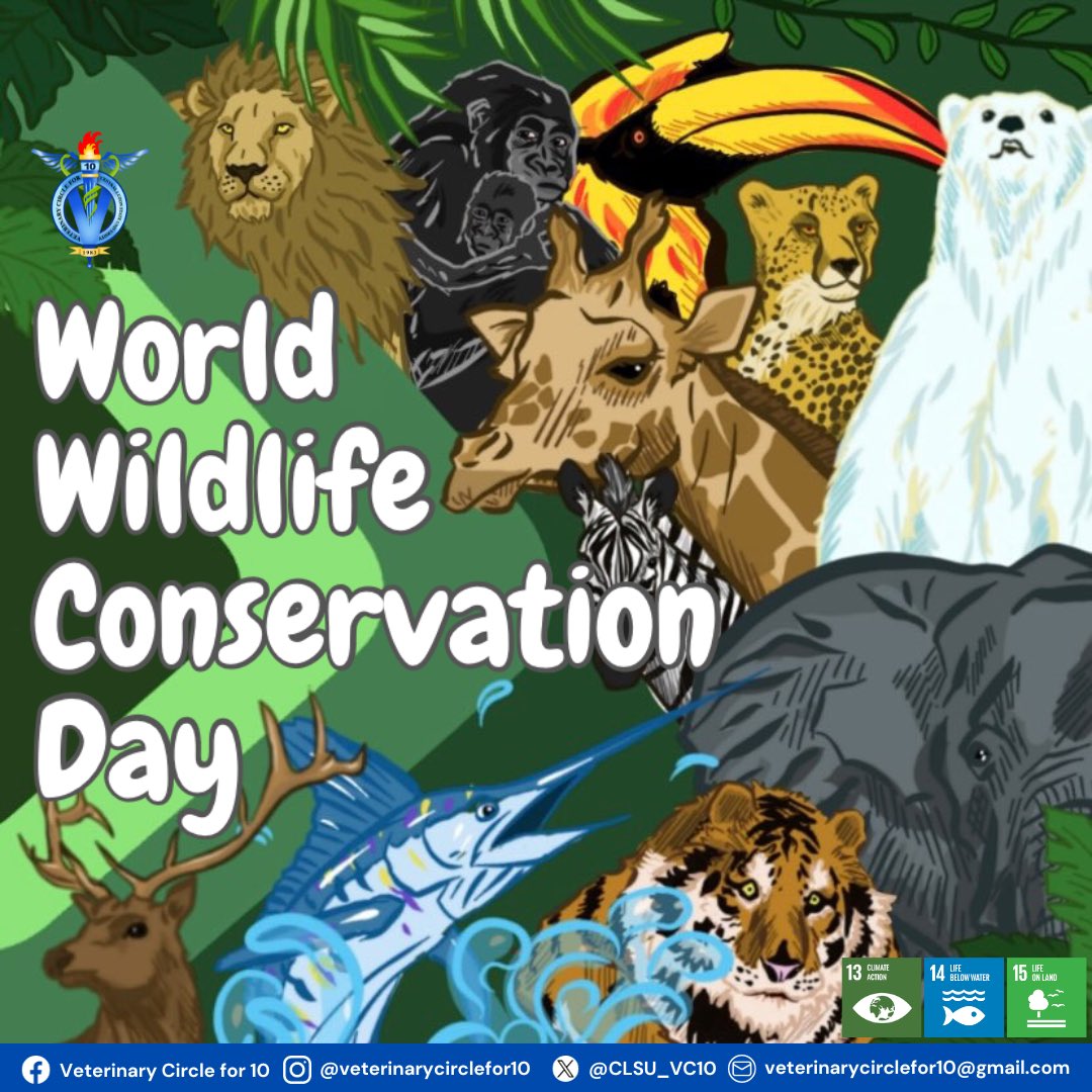 #WorldWildlifeConservationDay2023 

From the tiniest insects to the giant predators, from the soaring eagle to the ferocious wolf, and from the majestic roars of lions to the gentle flutters of butterflies, all creatures great and small deserve their spotlight today!