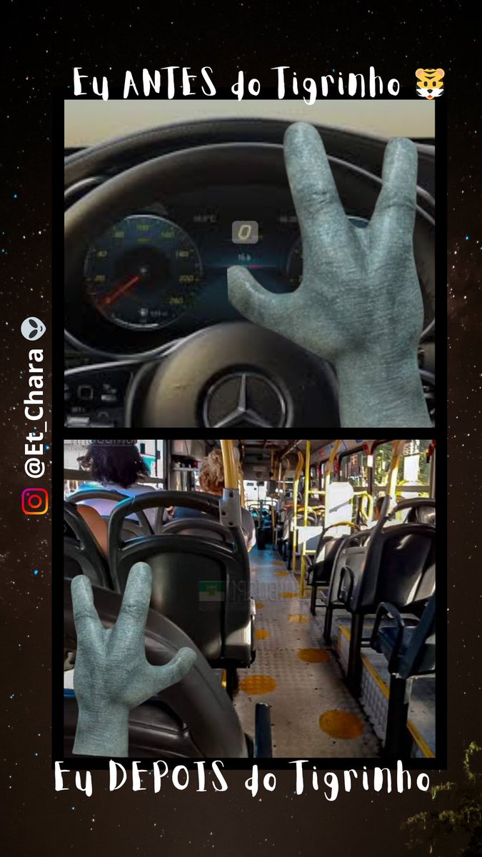 Et_Chara's tweet image. #tigrinho