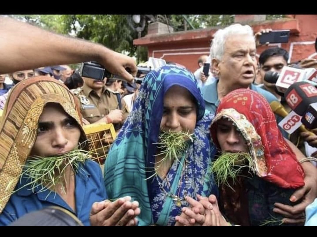 Adivasiobcnews's tweet photo. डॉक्टर किरोडी लाल मीणा की सरल साध की जिंदगी हमें चाहिए यही मुख्यमंत्री @DrKirodilalBJP https://t.co/ugNCceiZyE