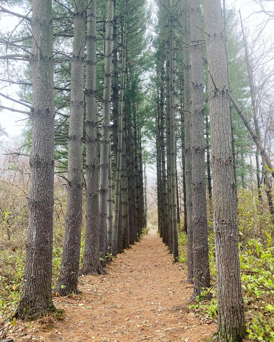 abernathylora's tweet photo. Had a great time hiking this weekend. https://t.co/MRoxId4nJd