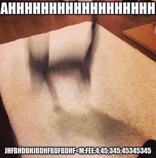 finally opening up twitter for the first time today to see tzp and nick both at the same event