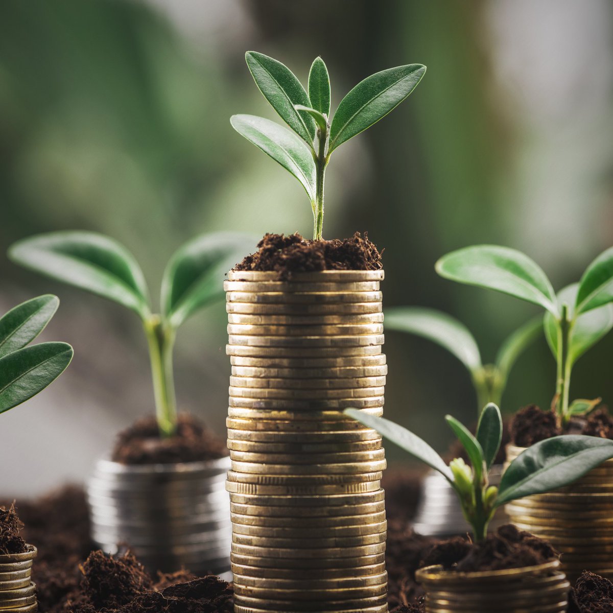 co2clover's tweet photo. Revitalising corporate carbon allowance assets. Building a new era of green finance for a sustainable future

#clovercarbonexchange
#cce
#carbontrading 
#timetoinvest
#co2
#spottrading
#sustainability 
#futuregeneration
#nevertoolate
#innovation https://t.co/Sf6ucsSHPq