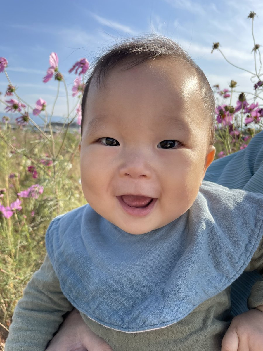 子育てママは日常的に『判断力』が必要な事が判明！しかも即行型の。買い物も献立もスーパーに行ってお買い得食材を見て決める。これを当たり前にコスパ良く、家族の満足度も考慮して毎日やるのってホントにお仕事レベルだよね。穏やかな日常には『判断力』を上げる事は欠かせないから鍛えるべきです！