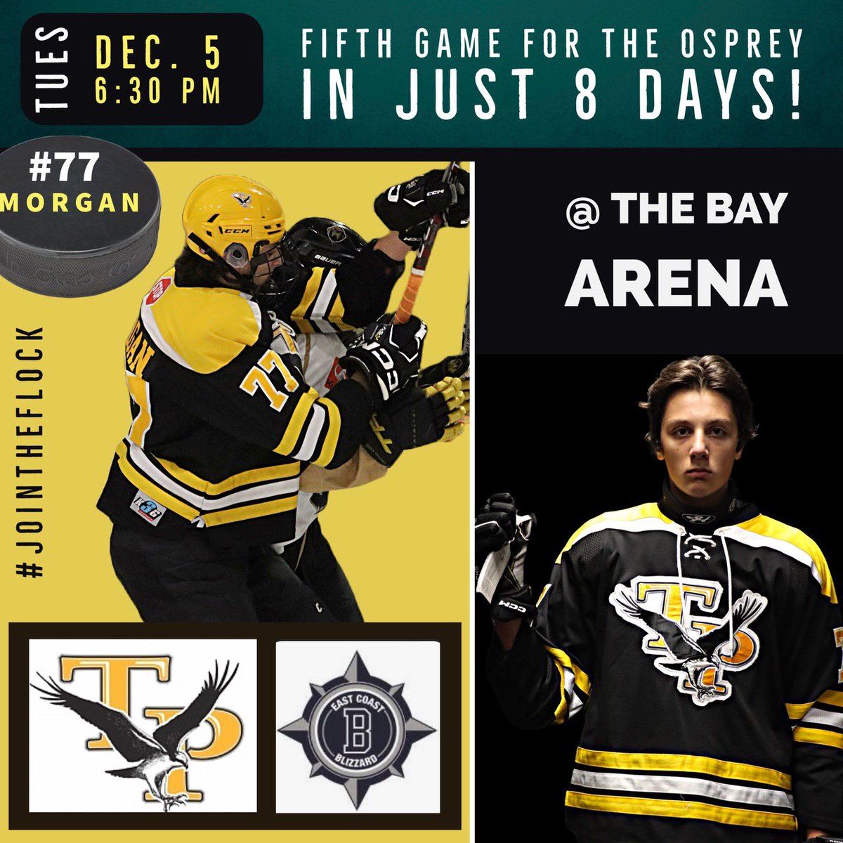 TriPenOsprey's tweet photo. What’s that? Need more Osprey hockey?

You’re in luck! We’re back on the ice Tuesday at the Bay Arena vs @EC_Blizzard 6:30pm

Come out and support the team 🦅 

#GoOspreyGo 🦅
#JoinTheFlock https://t.co/DjpZhvcsag