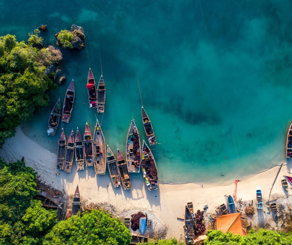 ZanzibarExp's tweet photo. Uncover the hidden gems of #Zanzibar with our expert guides. https://t.co/USdPz0155k