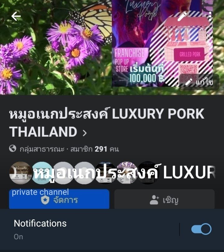 JclubStore's tweet photo. ติดตามช่อง หมูอเนกประสงค์ LUXURY PORK THAILAND by FOOD DESIGN THAILAND  บน telegram สแกนคิวอาร์โค้ดหรือกดลิงค์ 

คลิ้ก 👇
https://t.co/oF2vCvhrkn https://t.co/FAC0fZeNTH
