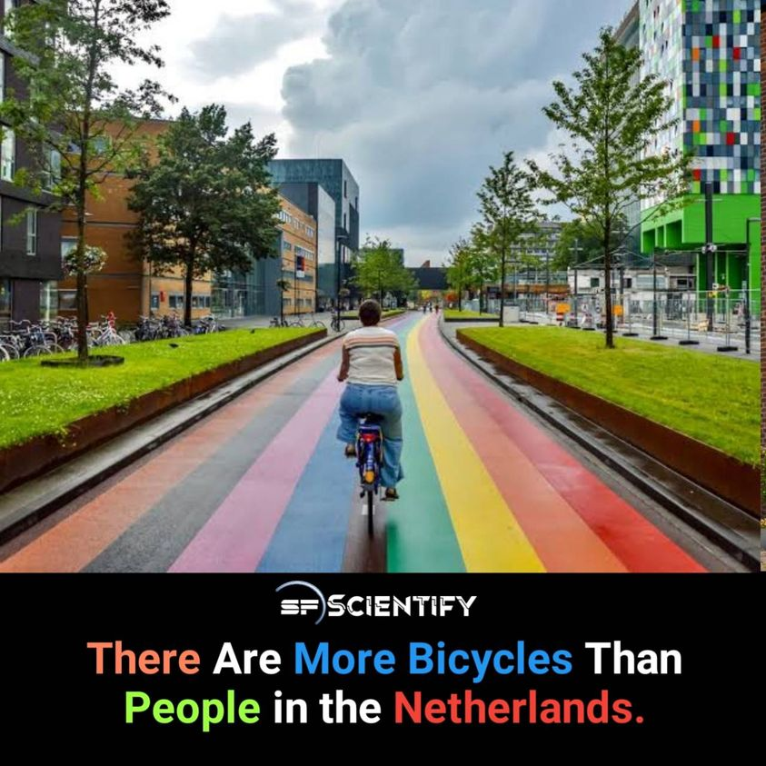 ScientifyFacts's tweet photo. Interesting one 🙂

#scientify #facts #bicycles #Netherland https://t.co/ktNwmKFe18