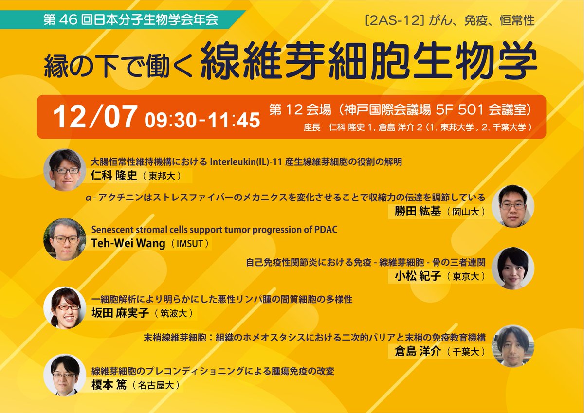 nishina_takashi's tweet photo. （リツイート希望）第46回日本分子生物学会@mbsj_2023 （2日目午前）にて、線維芽細胞、間質細胞にフォーカスしたシンポジウムが開催されます！多彩な講演者が登壇されます！ぜひご参加ください！！#MBSJ2023　@KurashimaLab　 @atsushi_enomoto  @gIcq3YlZHuPB9eA  @Japanese_IMSUT  @bound_th https://t.co/sZ6gdCk0eX