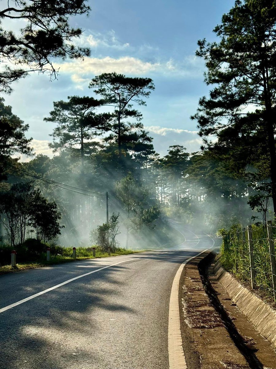 thong_online's tweet photo. DaLat city ❤️❤️ https://t.co/8hcoKPT7zG