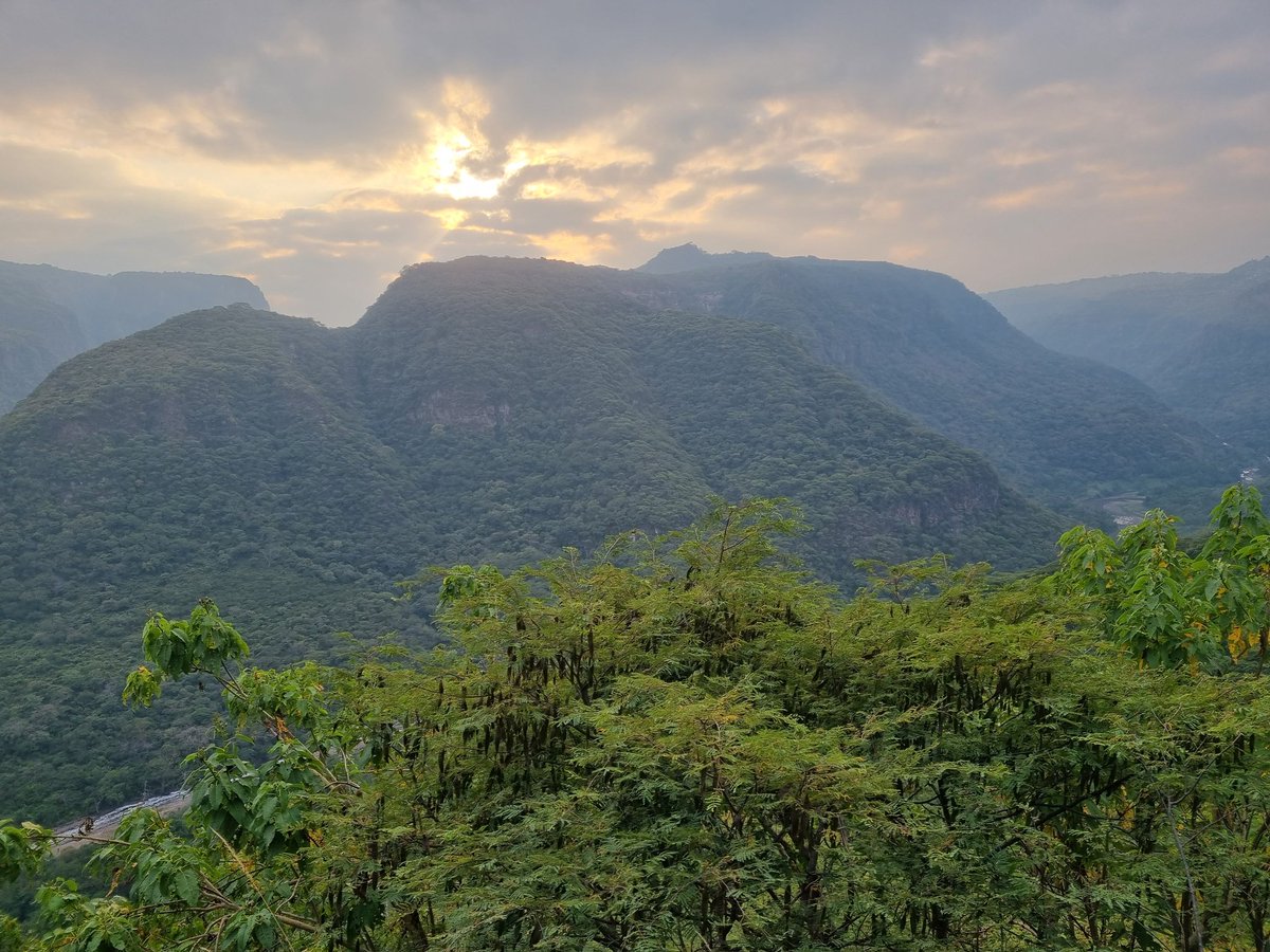 Jesus Alejandro tweet media