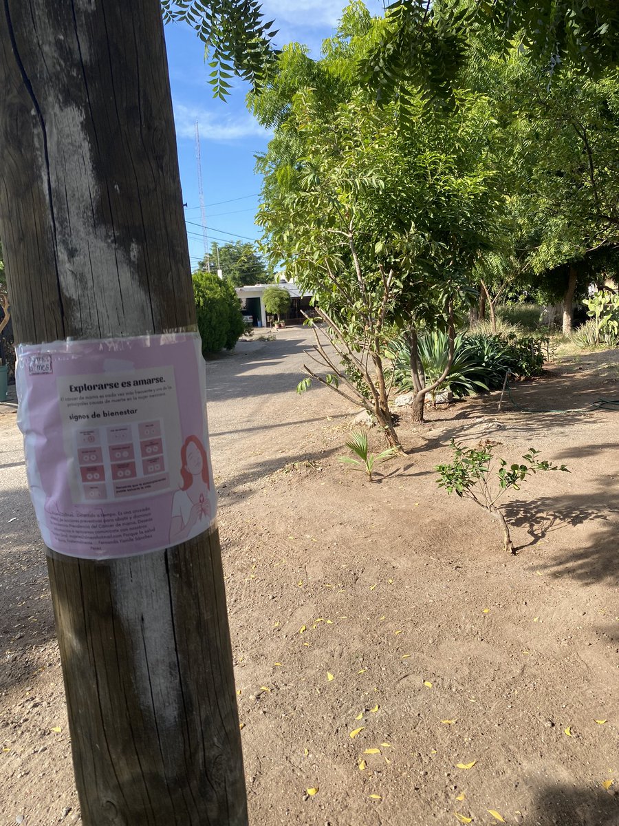 Fern3Snchezprez's tweet photo. Difusión de carteles en Culiacán, sinaloa
!!
@medicosconcausa @CasimiroZamora
@mujeres2almes https://t.co/akCLWBugpj