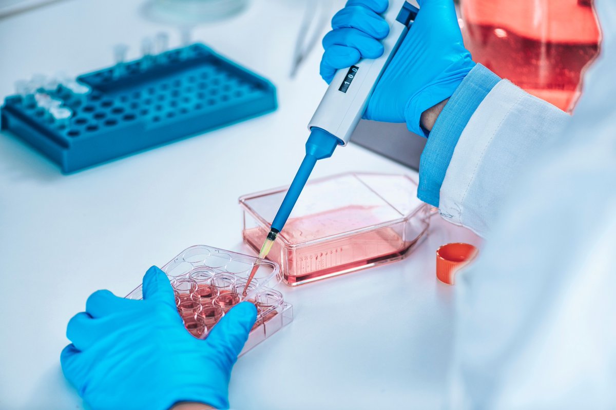 NewsMedical's tweet image. Revolutionary 'anthrobots' from human cells: A leap in healing and drug delivery 🤖🔬🧬 news-medical.net/news/20231203/… #Anthrobots #Biobots #HealingTech #HumanCells #Innovation #Bioengineering #MedTech #CellScience #FutureHealth #RegenerativeMedicine @advscinews