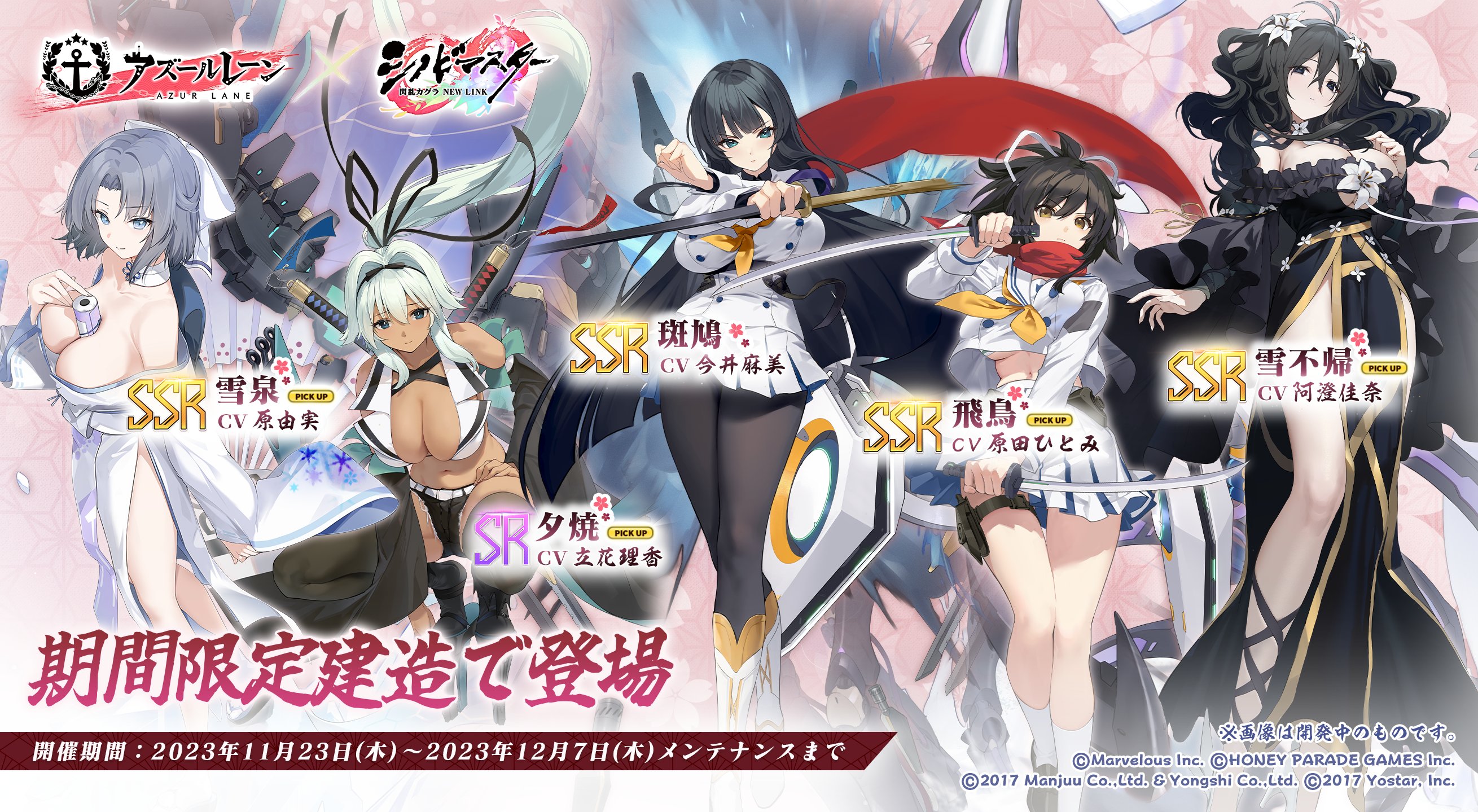 閃乱カグラ 雪泉 ポスター キャンペーン当選品 閃乱カグラ 雪泉 ポスター キャンペーン当選品